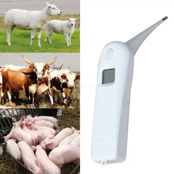 Термометр для домашних животных, быстрый цифровой ветеринарный термометр для собак, кошек, лошадей, крупного рогатого скота, свиней, птиц, овец, батарея в комплекте