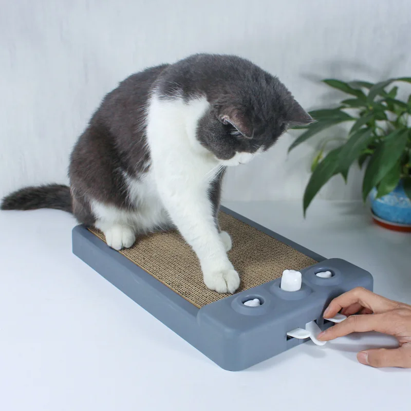 Прочная игрушка-дразнилка для кошек из гофрированной бумаги - идеальные товары для домашних животных для бесконечного веселья. Изображение 1